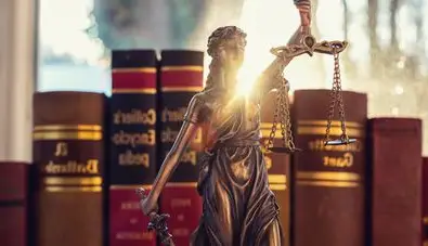 profesional legal